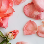 The Beauty of Sisterhood