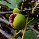 The Year of Kelsea Ballerini. Up Next: ‘The Homecoming Show’