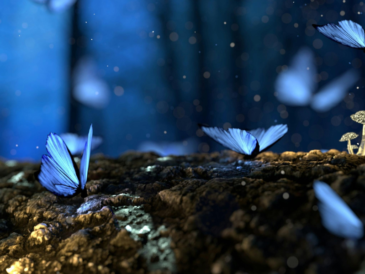 Knoxville’s portal to a fantasy world