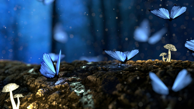 Knoxville’s portal to a fantasy world