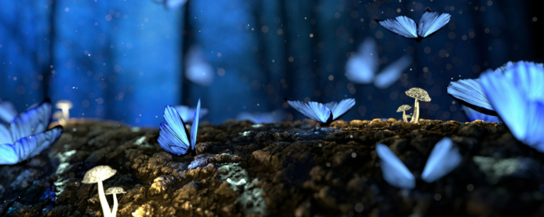 Knoxville’s portal to a fantasy world