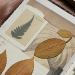 Your vote, your voice