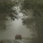  How to Stay Present as a Senior